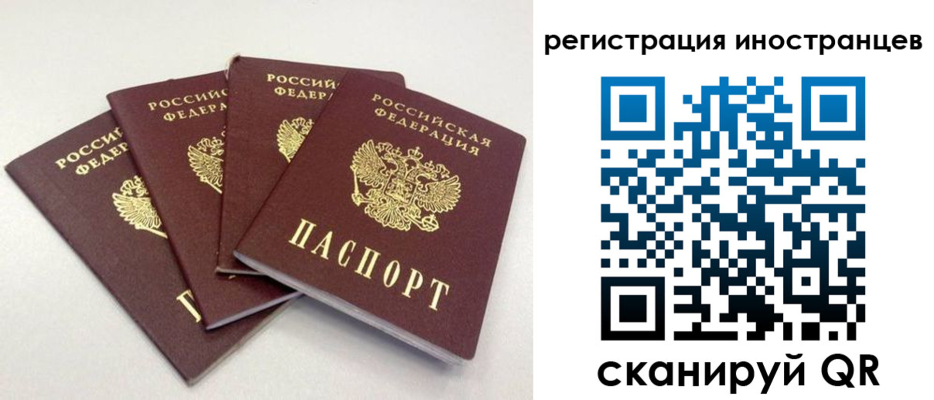 временная регистрация для школы в Бежецке